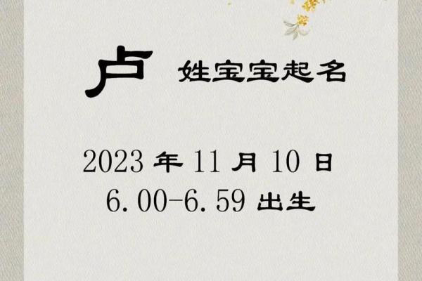 2023年出生宝宝命理解析：探索命格与未来的奥秘