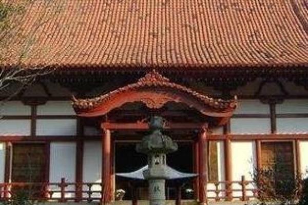 寺庙中的根:扎根心灵的命运之旅与灵性启示 寺庙中的根:扎根心灵的命运之旅与灵性启示