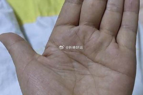 手中的线条：解读你命运的秘密