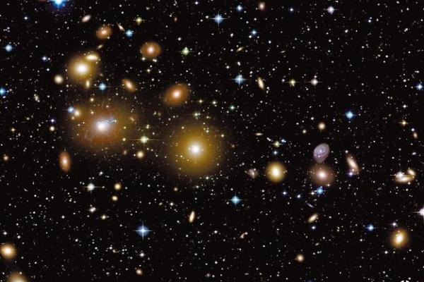 晚上出生的狗：夜晚的星光下，他们的命运如何？