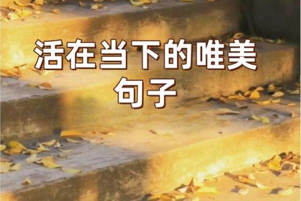 珍惜生命：用心生活，让每一天都精彩无比