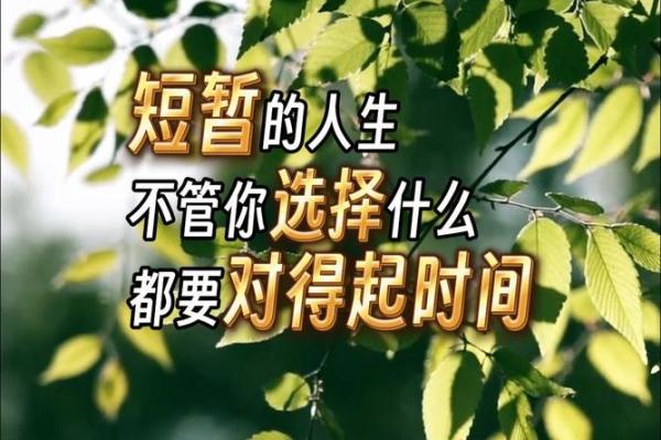 命运长河中，我们该如何面对人生的短暂与无常？