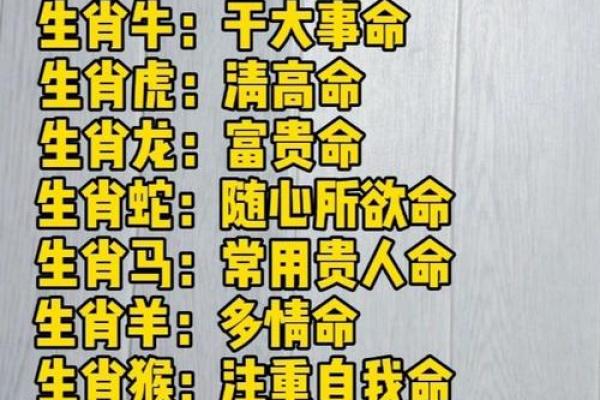 91年出生孩子的命运解读：生肖与性格的纠缠