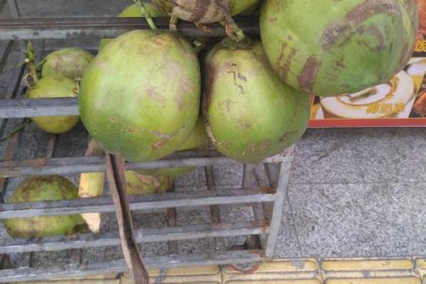 没有考运的人是什么命？揭秘命运背后的秘密！