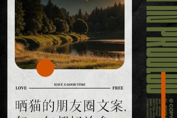 猫的每条命：探秘猫咪背后的灵魂与象征