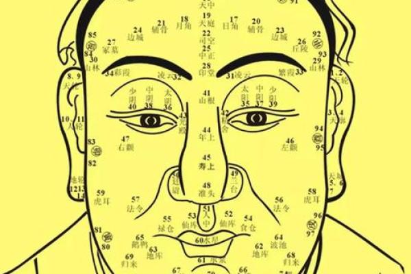 面相学揭秘：哪些面相的人拥有最富贵的命运？