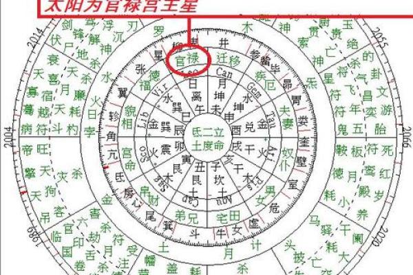 探索丞相命格之谜：他们背后的智慧与魅力