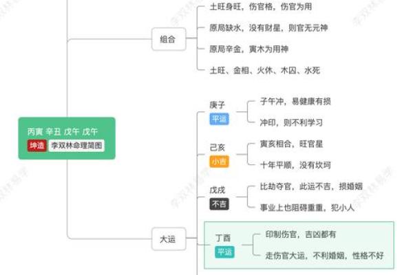 丁酉年女人命理解析：魅力与挑战并存的人生道路