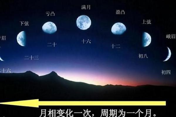 猪年乔治与牛年的命理解析：你属于哪种命理？