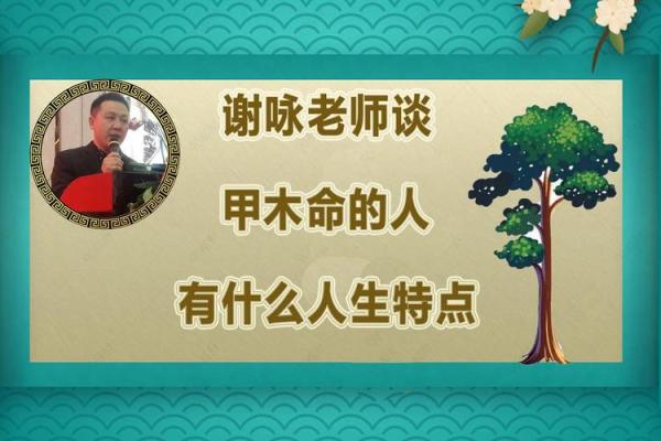 揭秘木命人：性格特征与生活讲究！