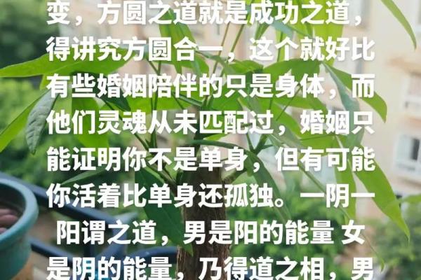 探寻木命之人葬向的秘密：生命与自然的和谐之道