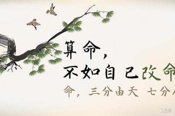 揭秘风水命理与生肖之间的奥秘