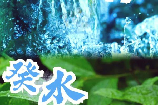 癸水命之外的命理：探索其他命的奥秘与智慧