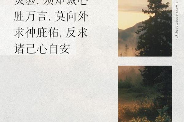 泥鳅为何长命百岁？探寻其独特生命密码的奥秘之旅