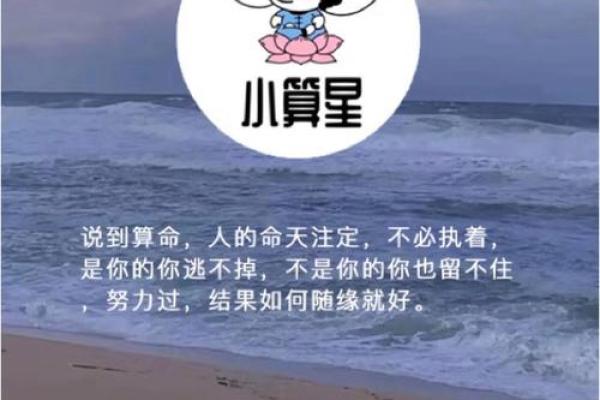 2008年鼠宝宝命理解析：如何助力人生辉煌的秘密