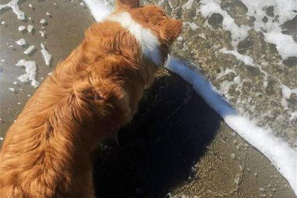 炉中火命的辟邪佩戴秘籍,你不可不知! 炉中火命的辟邪佩戴秘籍,你不可不知!