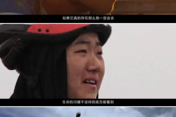 探寻2015年的仙命世界：梦想与现实的交汇点