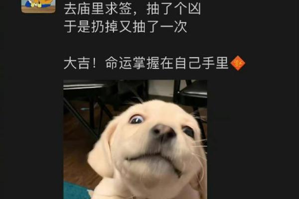 1995年属狗人的命运解析:如何把握自己的未来与机遇 1995年属狗人的命运解析:如何把握自己的未来与机遇