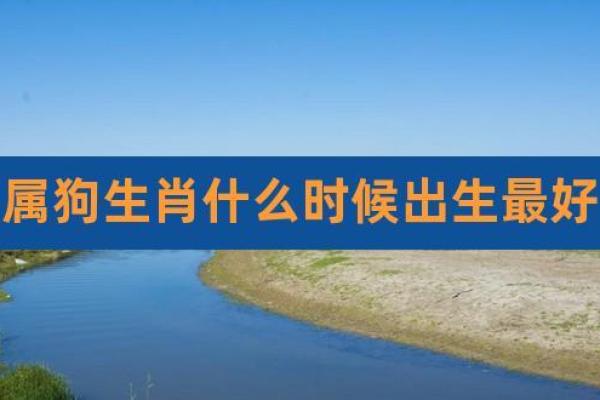 2018年正月出生属狗人的命运与性格解析