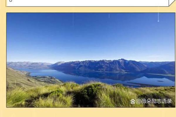 65岁女性的人生命运与智慧之路