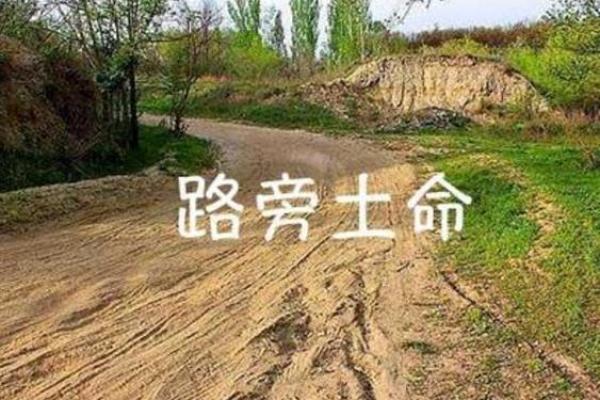 探索沙中土命:命理与生活的深刻联系 探索沙中土命:命理与生活的深刻联系