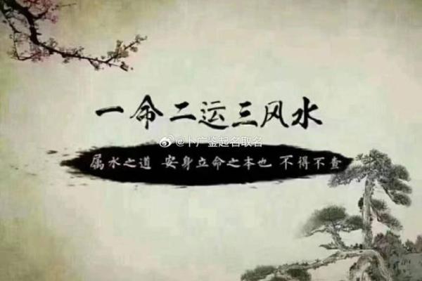 水命人居家风水：优化环境，提升运势的秘密