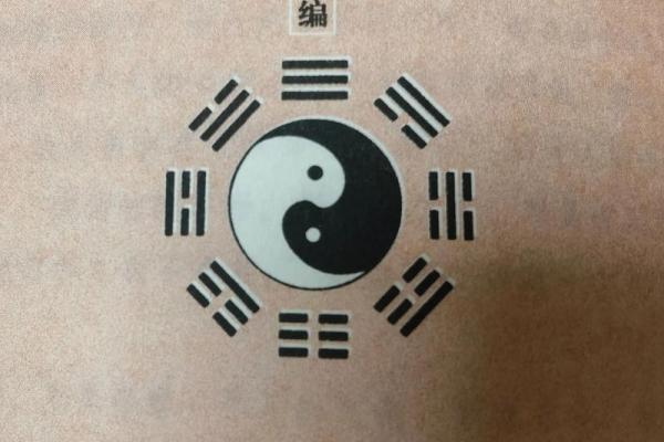 命理学揭秘：什么命理的人适合养蜂？