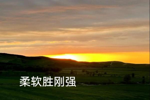 74岁属鸡的命格解析：开启人生的智慧与自信之旅