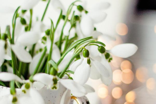 适合留胡须的命理分析:提升个人魅力的秘密武器 适合留胡须的命理分析:提升个人魅力的秘密武器