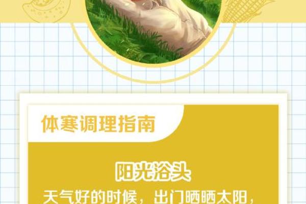 1993年腊月属鸡之人的命运解析与生活指南