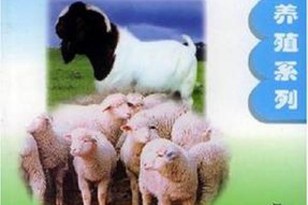 探索命理与养羊:最佳养羊方法的秘密与技巧 探索命理与养羊:最佳养羊方法的秘密与技巧