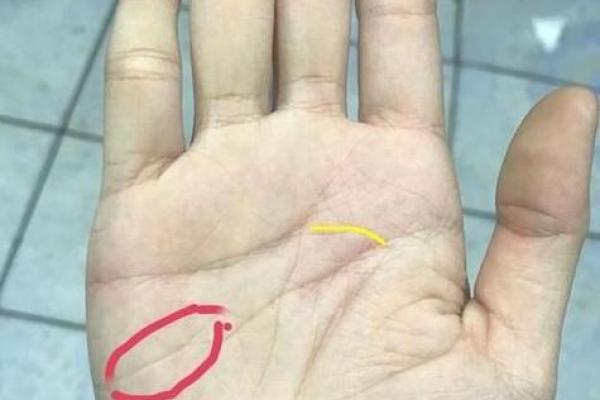 探索断掌命理:女性独特命运的象征与启示 探索断掌命理:女性独特命运的象征与启示