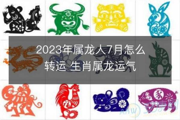 揭秘1978年阴历出生的命运与性格特征 揭秘1978年阴历出生的命运与性格特征