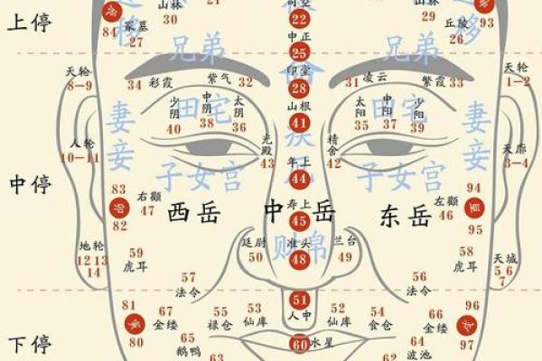 门牙长得长的人有什么命运？揭秘你的面相与命运的秘密！