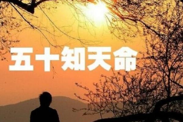 1973年：牛年人的命运与人生旅程探秘