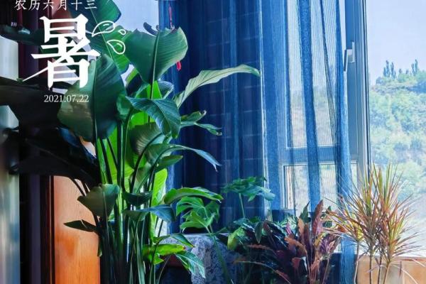 女属1960:魅力与智慧的命运之旅 女属1960:魅力与智慧的命运之旅