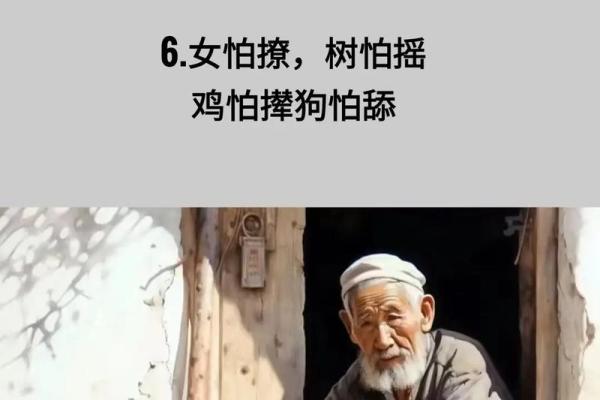 49岁属狗女的命运解析与人生智慧