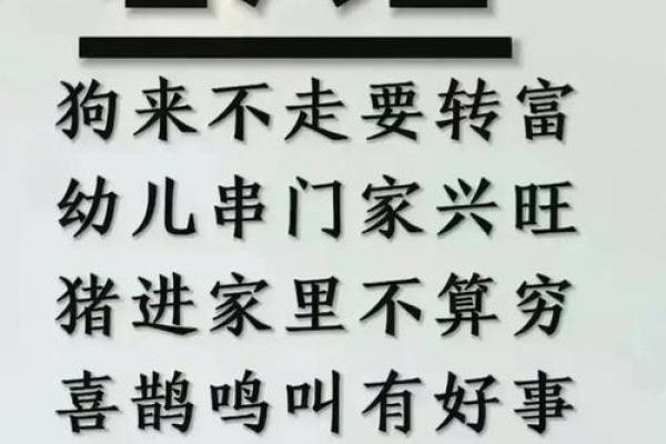 49岁属狗女的命运解析与人生智慧