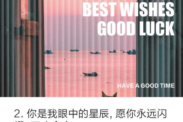 太阳星：照耀女命的光芒与命运的指引