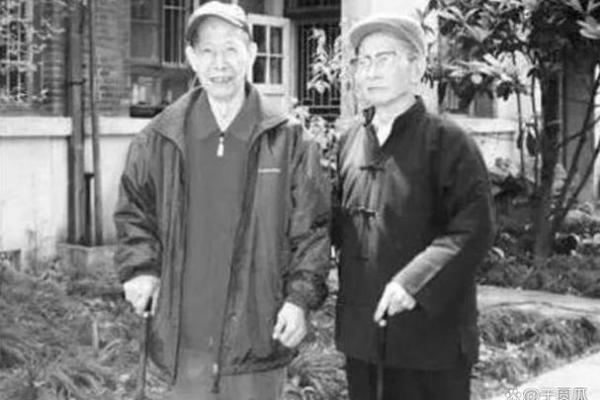 1992年出生的孩子命运解析：生命之旅的启示与探索