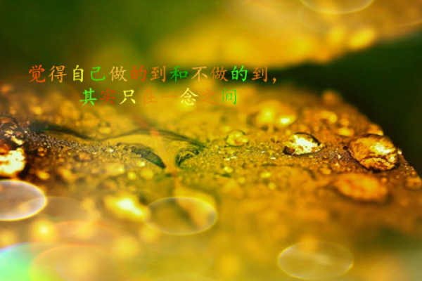 深秋的启示：探寻10月命理的独特魅力与人生智慧