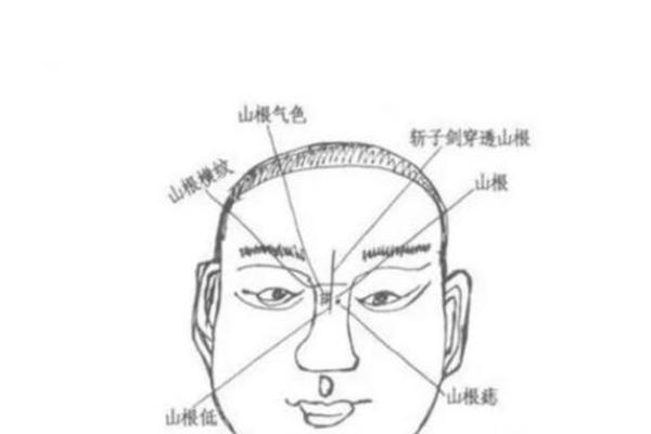 眼睛凸出的人命运如何？探秘其背后的性格与生活