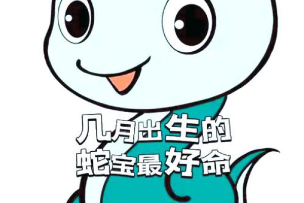 探究猴子的命理:蛇年出生的猴子与其他生肖的命运对比 探究猴子的命理:蛇年出生的猴子与其他生肖的命运对比