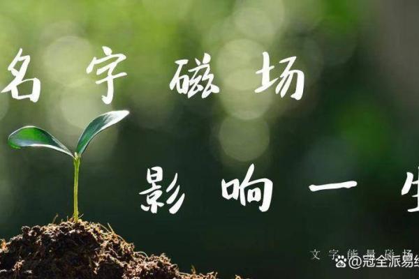 男人的命运：你不知道的妻子影响力！