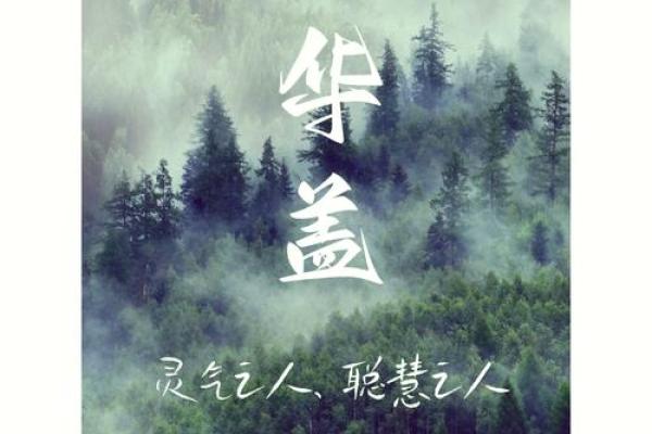 华盖命理：神秘的保护与人生的启示