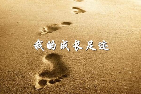 探索命里孤的深意：重新定义孤独与自我成长之路