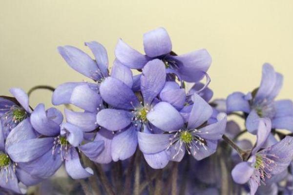 如何提升女性运势,过上更好的生活! 如何提升女性运势,过上更好的生活!