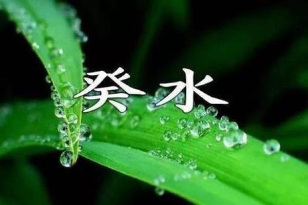 探秘癸水命：适合的性格与人生道路