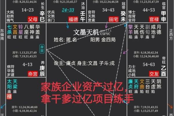 探秘男命廉贞身主文昌的深层寓意与影响