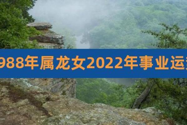 2000年属龙女性的命运探讨:揭示生活与性格的奥秘 2000年属龙女性的命运探讨:揭示生活与性格的奥秘